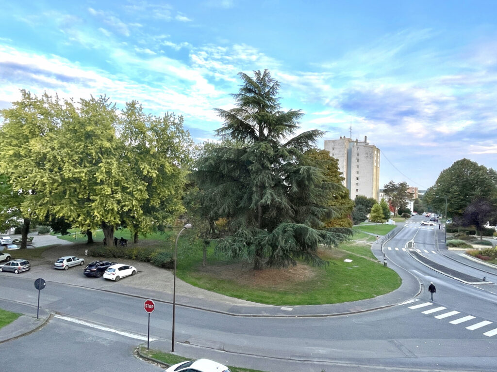 Appartement très lumineux proche des commerces